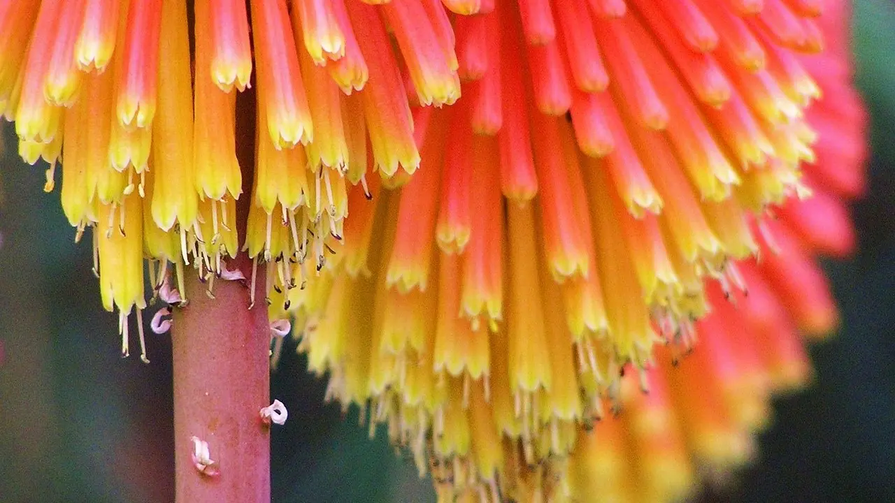 L'importance des cartes communes au poker