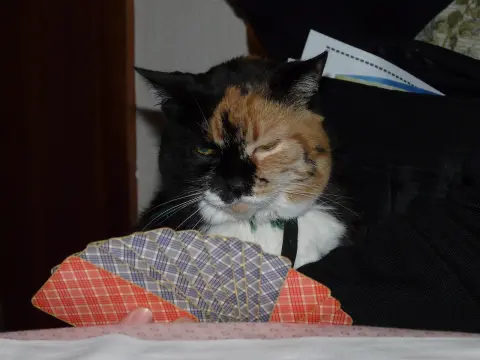 Stratégies de poker : s'adapter aux tables