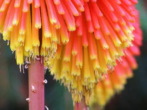 Stratégies gagnantes en tournoi de poker